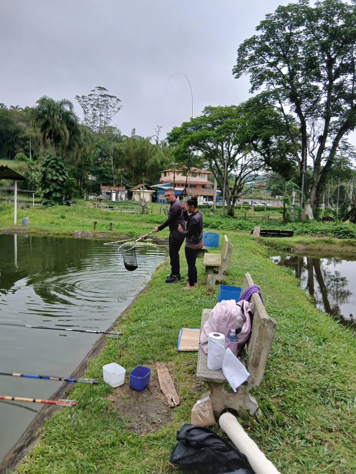 Lagos de tilápias do Pesqueiro Pouso Alegre — foto 3