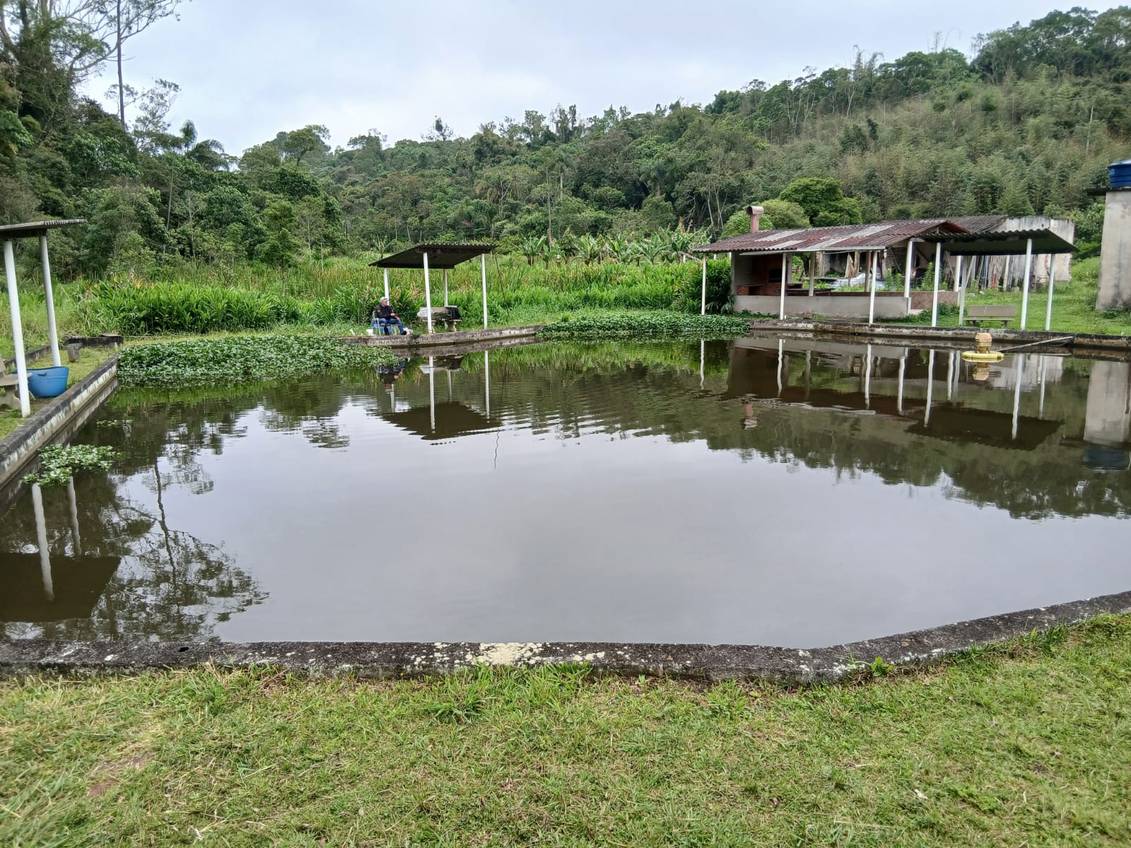 Lagos de tilápias do Pesqueiro Pouso Alegre — foto 4